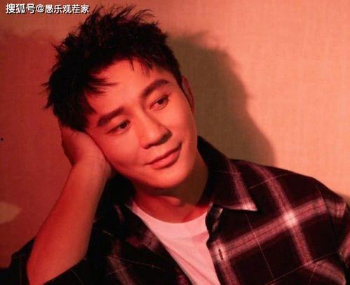 娱乐圈吃瓜鹅李晨,李晨的吃瓜传奇