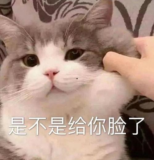 表情包强忍泪水